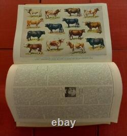 Books -full set of nine Harmsworth's Universal Encyclopedia's 1920