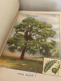 COMPLETE SET OF 6 THE NATURE LIBRARY Books Illustrated 1926 Trees Animals Birds