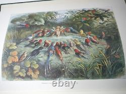 The Osborne Collection Facsimile Early Children's Books 1st Ed Complete set 35