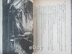 VAMPIRE HUNTER D Lot of 30 Novel Set HIDEYUKI KIKUCHI Yoshitaka Amano Book