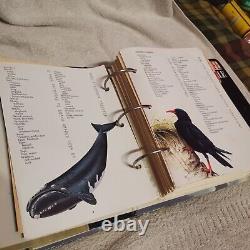Wildlife Fact Files Complete Set Groups 1-11 Fully Complete 3x Binders VGC